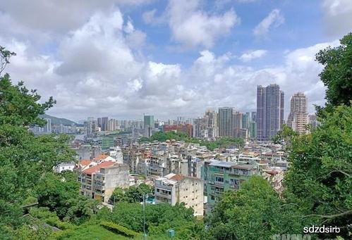 妈阁是座城,赌城传奇的悲喜人生